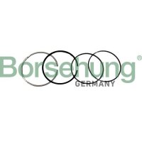 Borsehung B10371 Kolbenringsatz