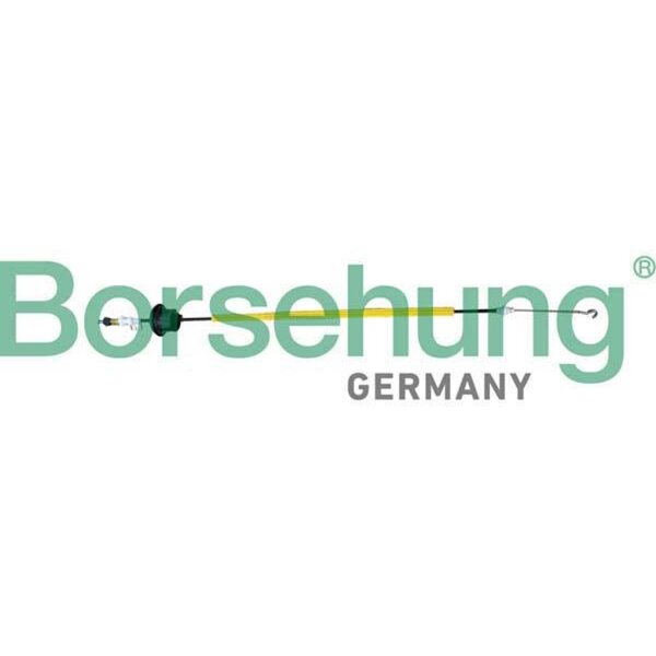 Borsehung B10793 Seilzug, Türentriegelung