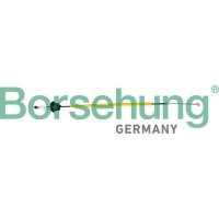 Borsehung B10793 Seilzug, Türentriegelung