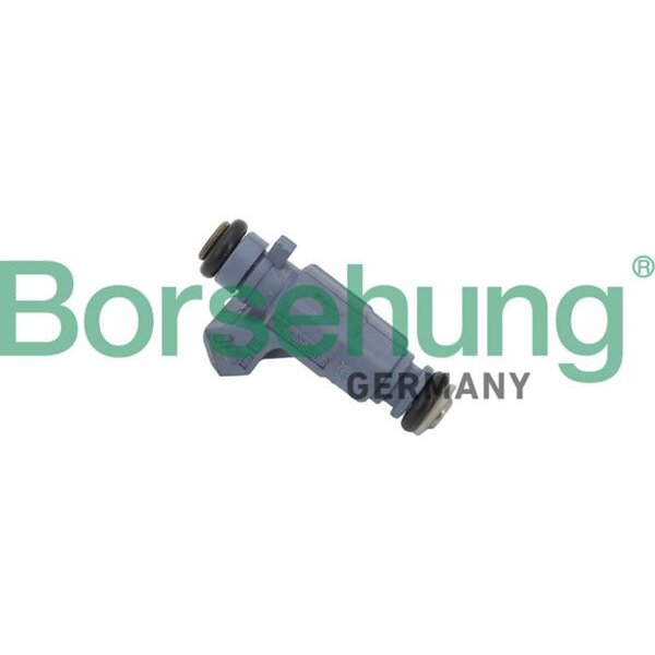 Borsehung B11164 Einspritzventil