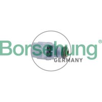 Borsehung B11164 Einspritzventil