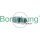 Borsehung B11164 Einspritzventil