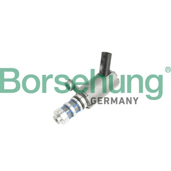 Borsehung B11858 Zentralventil, Nockenwellenverstellung