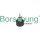 Borsehung B12078 Umlenk-/Führungsrolle, Zahnriemen