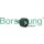 Borsehung B12078 Umlenk-/Führungsrolle, Zahnriemen