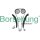 Borsehung B16300 Steuerkettensatz
