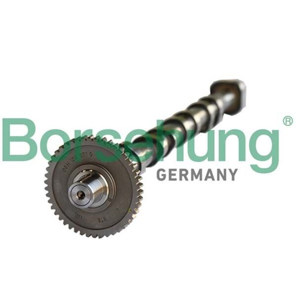 Borsehung B18980 Nockenwelle