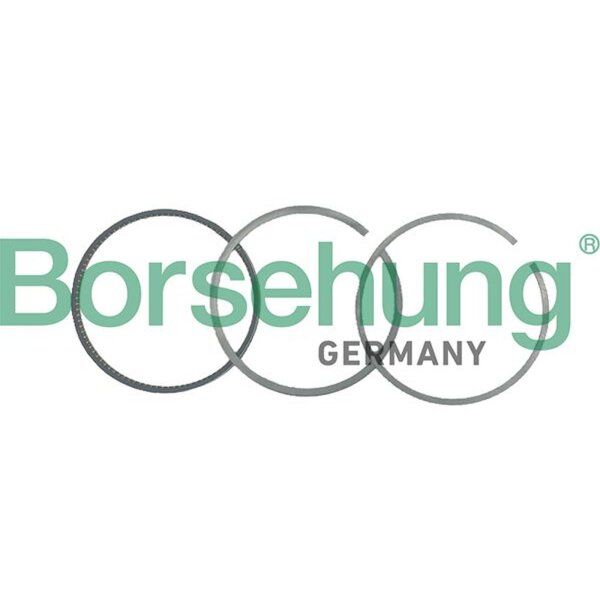 Borsehung B19040 Kolbenringsatz