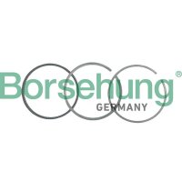 Borsehung B19040 Kolbenringsatz