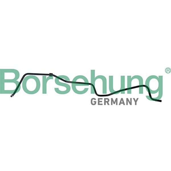 Borsehung B19264 Schlauch, Kurbelgehäuseentlüftung