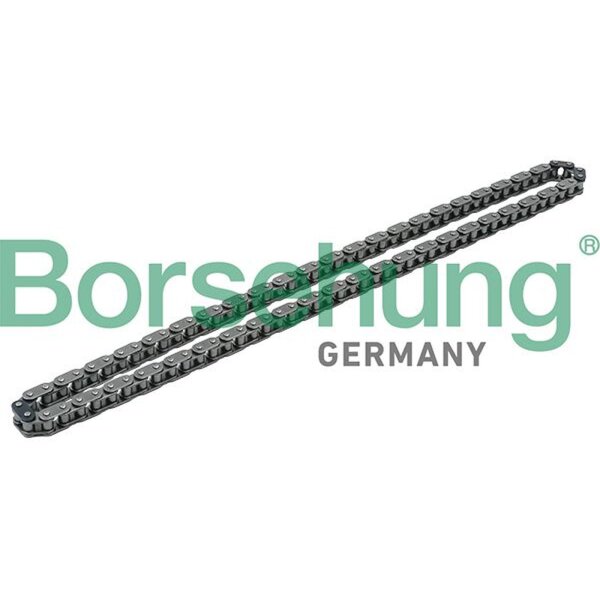 Borsehung B1C009 Steuerkette