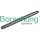 Borsehung B1C009 Steuerkette