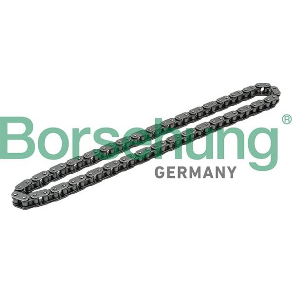 Borsehung B1C018 Steuerkette
