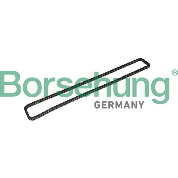 Borsehung B1C024 Steuerkette