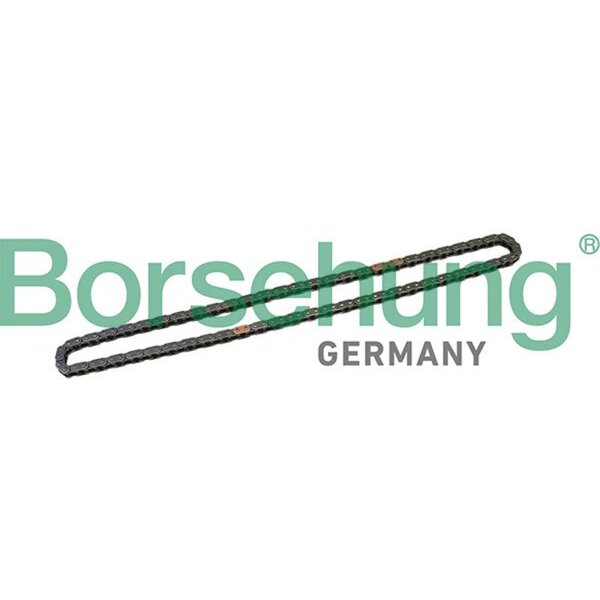 Borsehung B1C025 Steuerkette