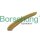 Borsehung B1G004 Gleitschiene, Steuerkette