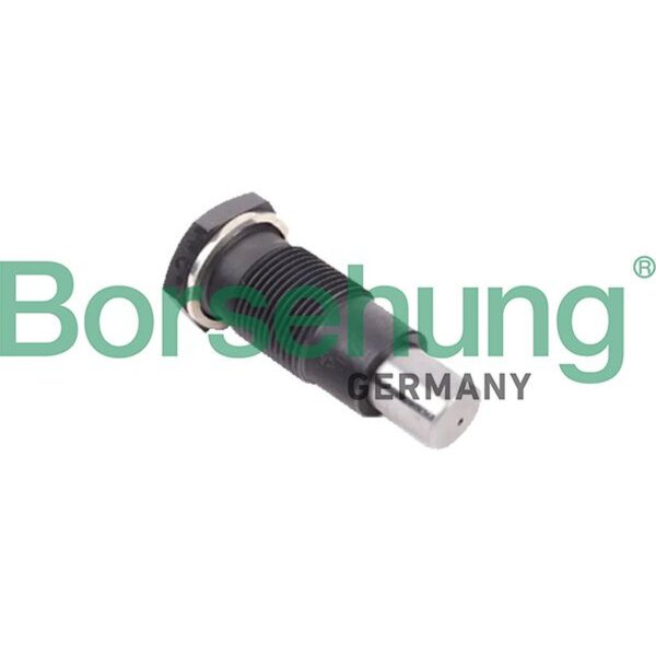 Borsehung B1T005 Spanner, Steuerkette