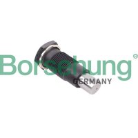 Borsehung B1T005 Spanner, Steuerkette