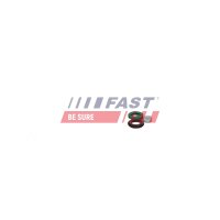 FAST FT01835 Reparatursatz, Pumpe-Düse-Einheit