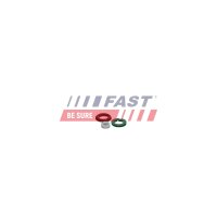 FAST FT01835 Reparatursatz, Pumpe-Düse-Einheit
