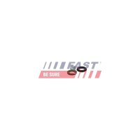 FAST FT01835 Reparatursatz, Pumpe-Düse-Einheit
