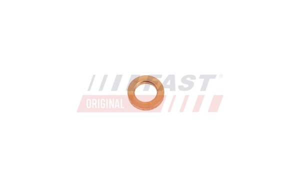 FAST FT11613 Wärmeschutzscheibe, Einspritzanlage