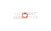 FAST FT11613 Wärmeschutzscheibe, Einspritzanlage