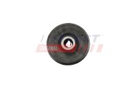 FAST FT18107 Lagerung, Lenker