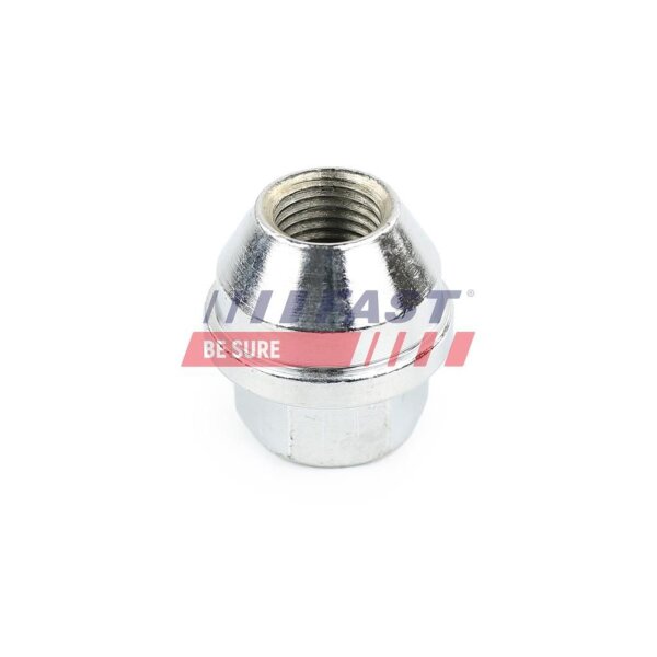 FAST FT21524 Radmutter
