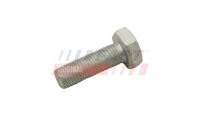 FAST FT30601 Schraube, Bremsscheibe
