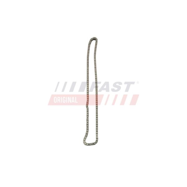 FAST FT41805 Steuerkette