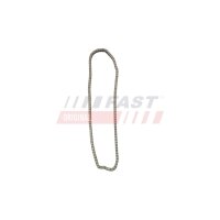 FAST FT41805 Steuerkette