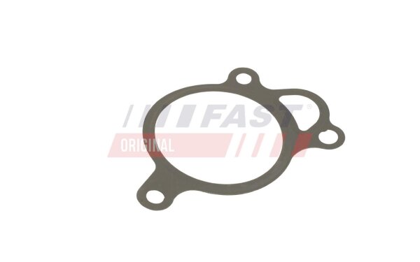 FAST FT50619 Dichtung, AGR-Ventil