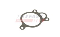 FAST FT50619 Dichtung, AGR-Ventil