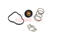 FAST FT58042 Thermostat, Kühlmittel