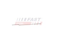 FAST FT95755 Seilzug, Türentriegelung