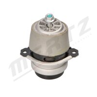 MERTZ M-S4953 Lagerung, Motor
