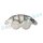 RAP BRAKES R-K0356 Bremssattel