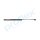 PROFLEX AUTOMOTIVE PX2-0520 Gasfeder, Koffer-/Laderaum