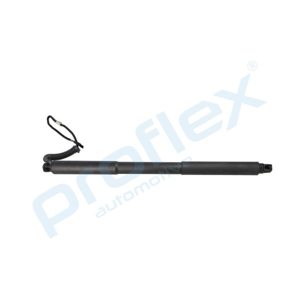 PROFLEX AUTOMOTIVE PX2-0794 Elektromotor, Heckklappe