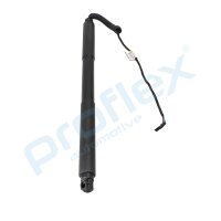 PROFLEX AUTOMOTIVE PX2-0794 Elektromotor, Heckklappe