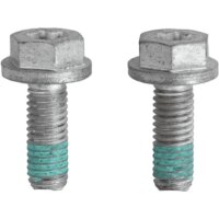TRW BHN1012E Bremssattel