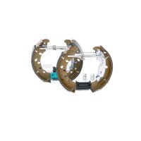 BOSCH 0 204 114 668 Bremsbackensatz