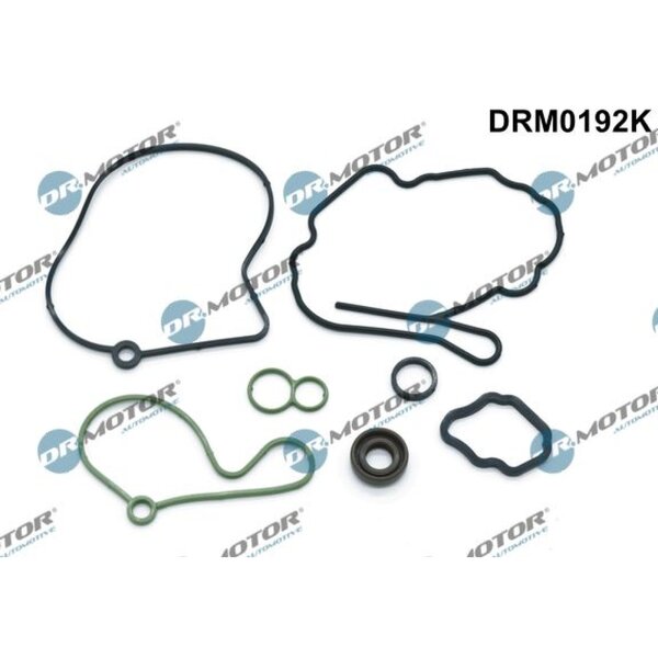 Dr.Motor Automotive DRM0192K Dichtungssatz, Unterdruckpumpe