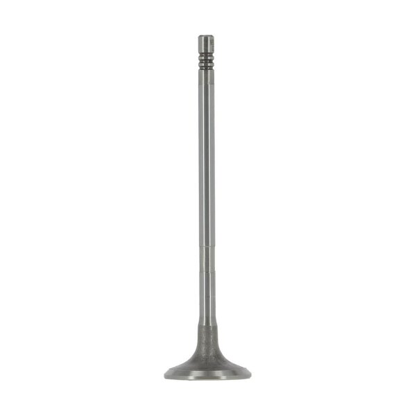 AE V95268 Einlassventil