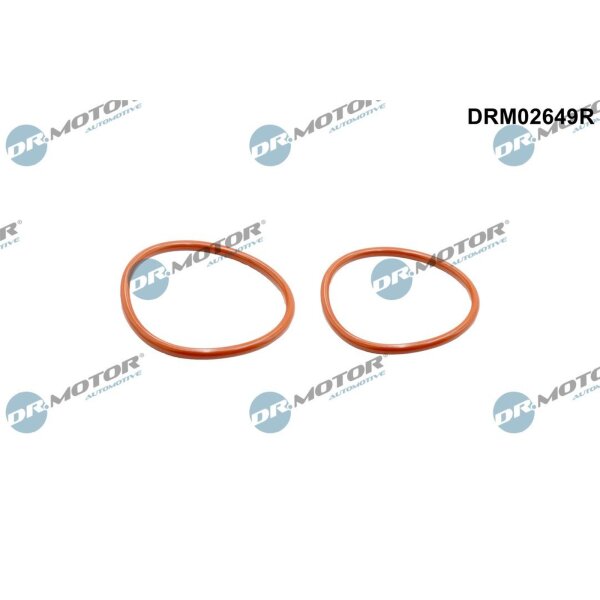 Dr.Motor Automotive DRM02649R Dichtring, Ladeluftschlauch