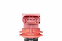 BorgWarner (BERU) ZSE042 Zündspule