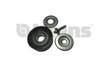 Litens 9511382 Umlenk-/Führungsrolle, Keilrippenriemen