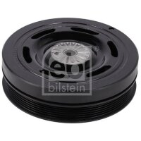 FEBI BILSTEIN 171952 Riemenscheibe, Kurbelwelle