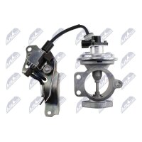 NTY EGR-TY-020 AGR-Ventil